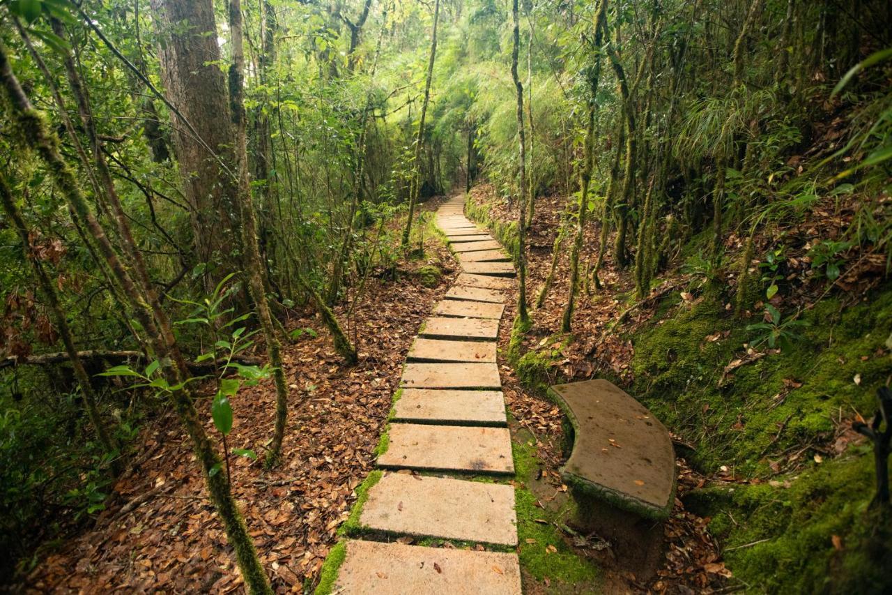 Dantica Cloud Forest Lodge San Gerardo de Dota Zewnętrze zdjęcie
