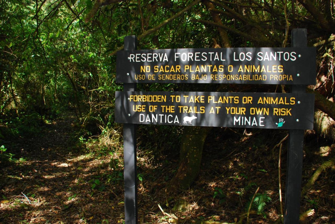 Dantica Cloud Forest Lodge San Gerardo de Dota Zewnętrze zdjęcie