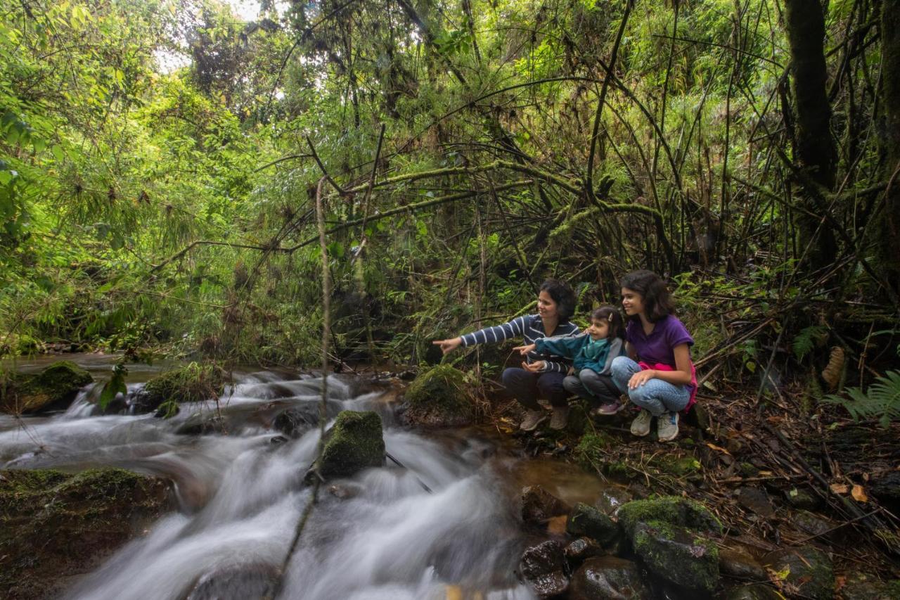 Dantica Cloud Forest Lodge San Gerardo de Dota Zewnętrze zdjęcie