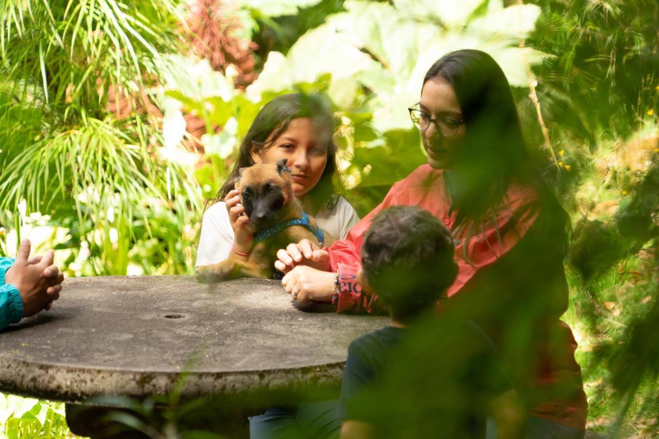 Dantica Cloud Forest Lodge San Gerardo de Dota Zewnętrze zdjęcie