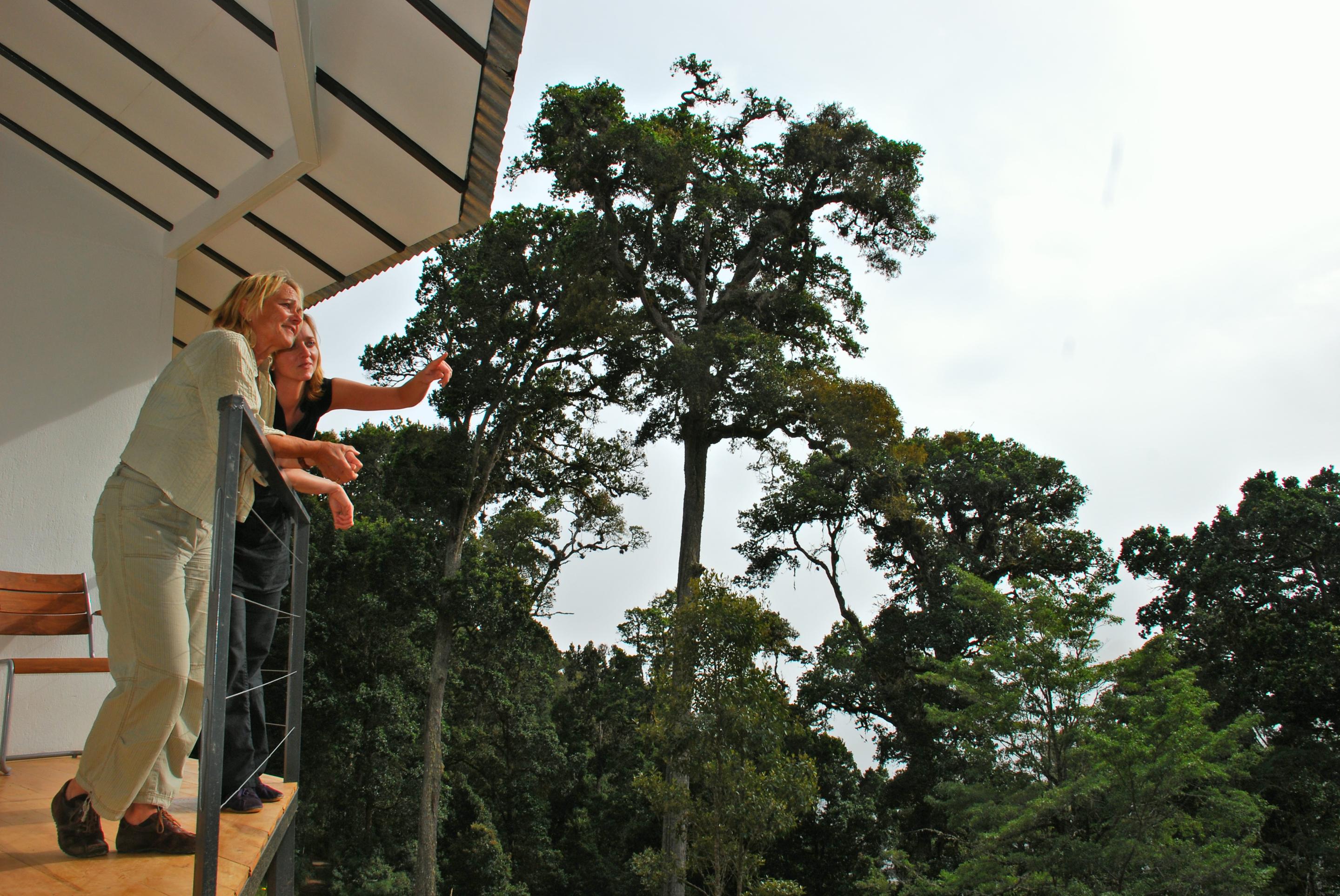 Dantica Cloud Forest Lodge San Gerardo de Dota Zewnętrze zdjęcie