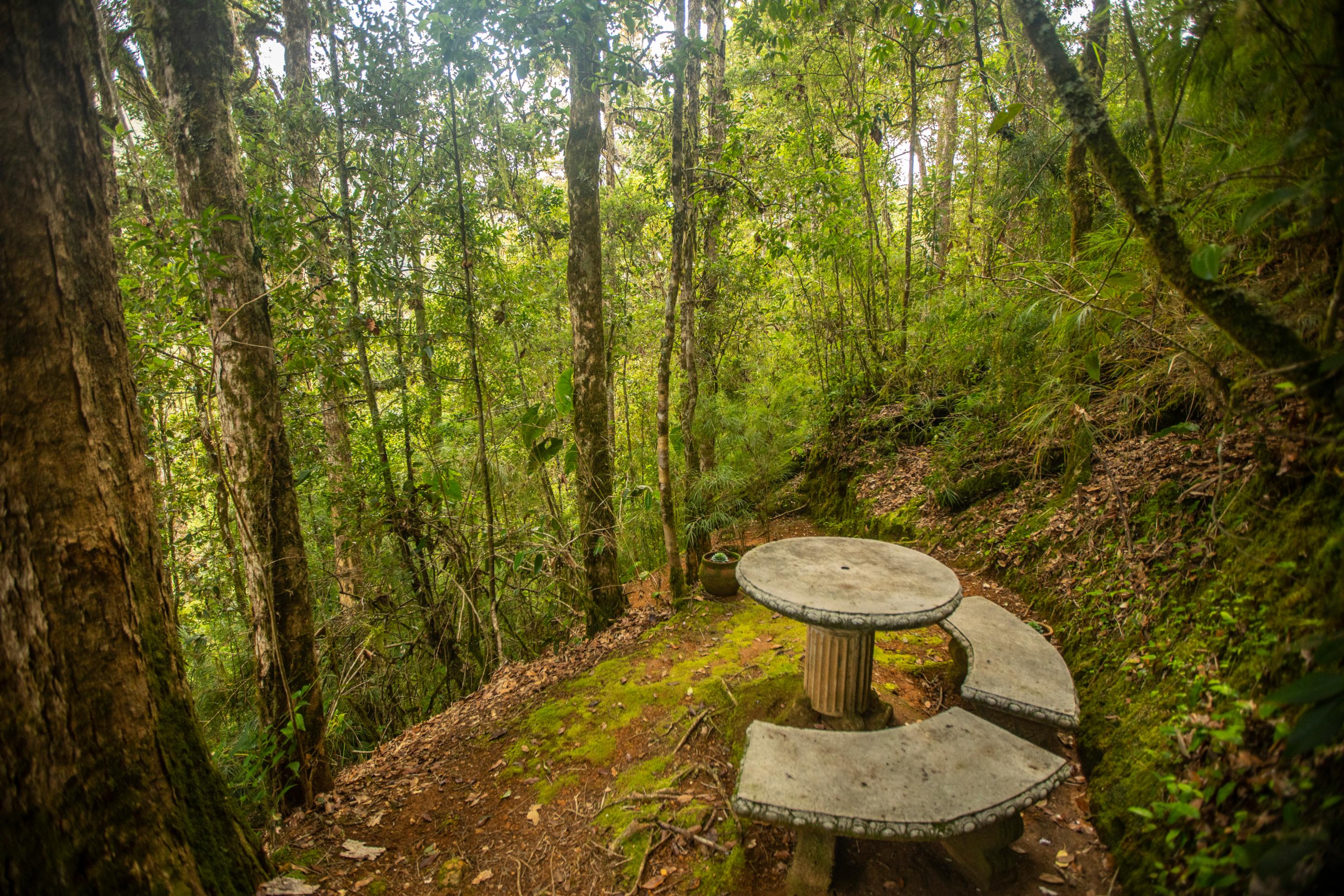 Dantica Cloud Forest Lodge San Gerardo de Dota Zewnętrze zdjęcie