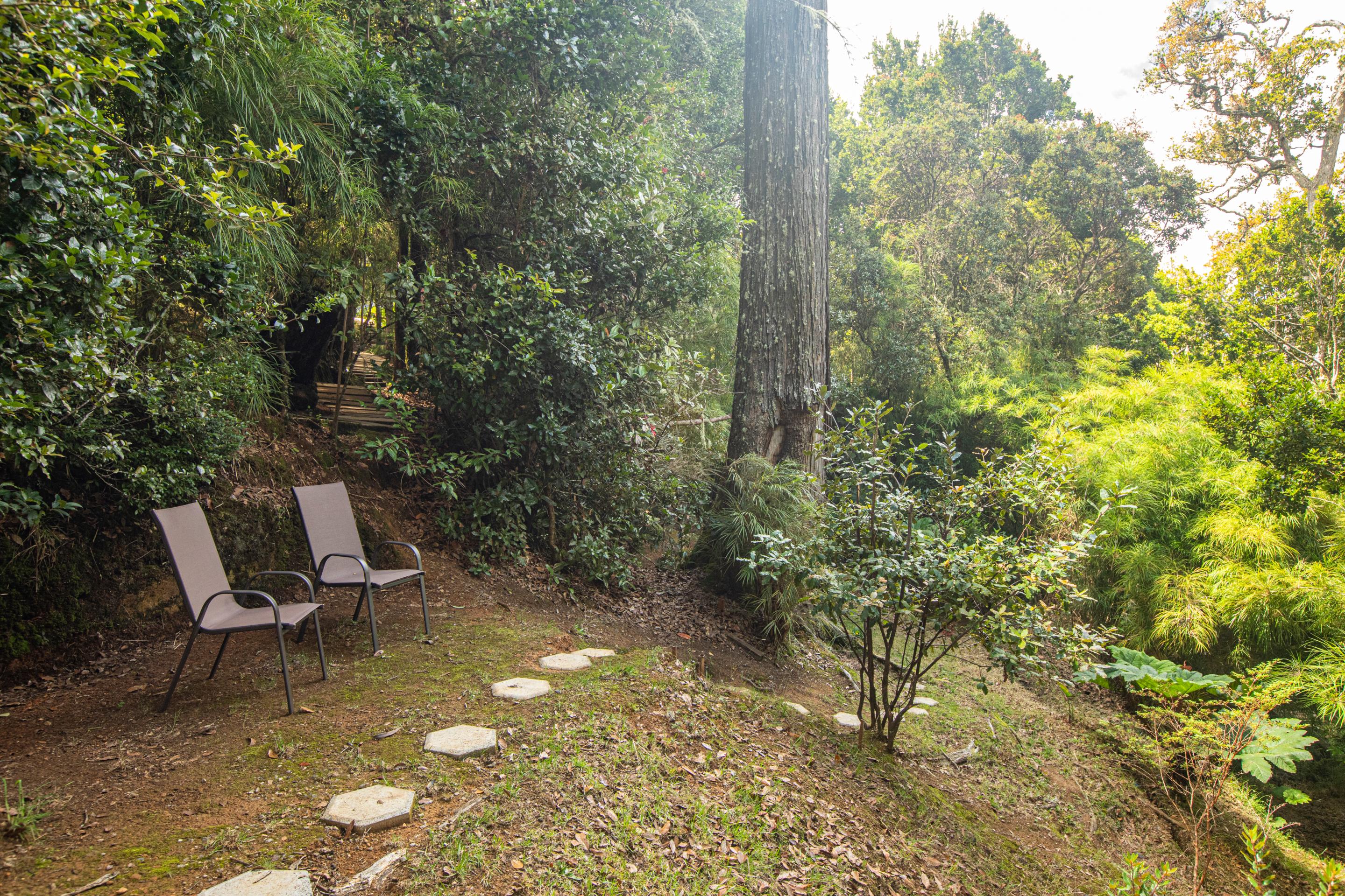 Dantica Cloud Forest Lodge San Gerardo de Dota Zewnętrze zdjęcie