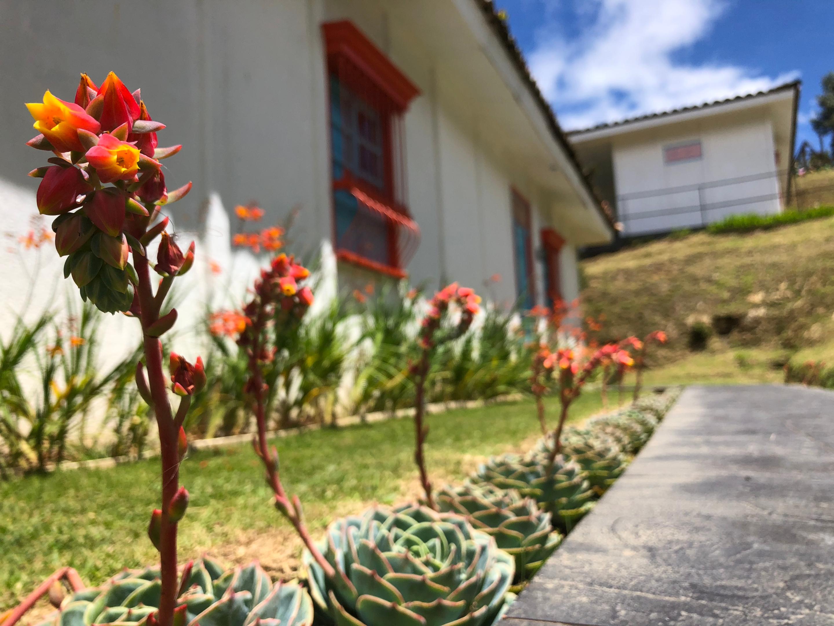 Dantica Cloud Forest Lodge San Gerardo de Dota Zewnętrze zdjęcie