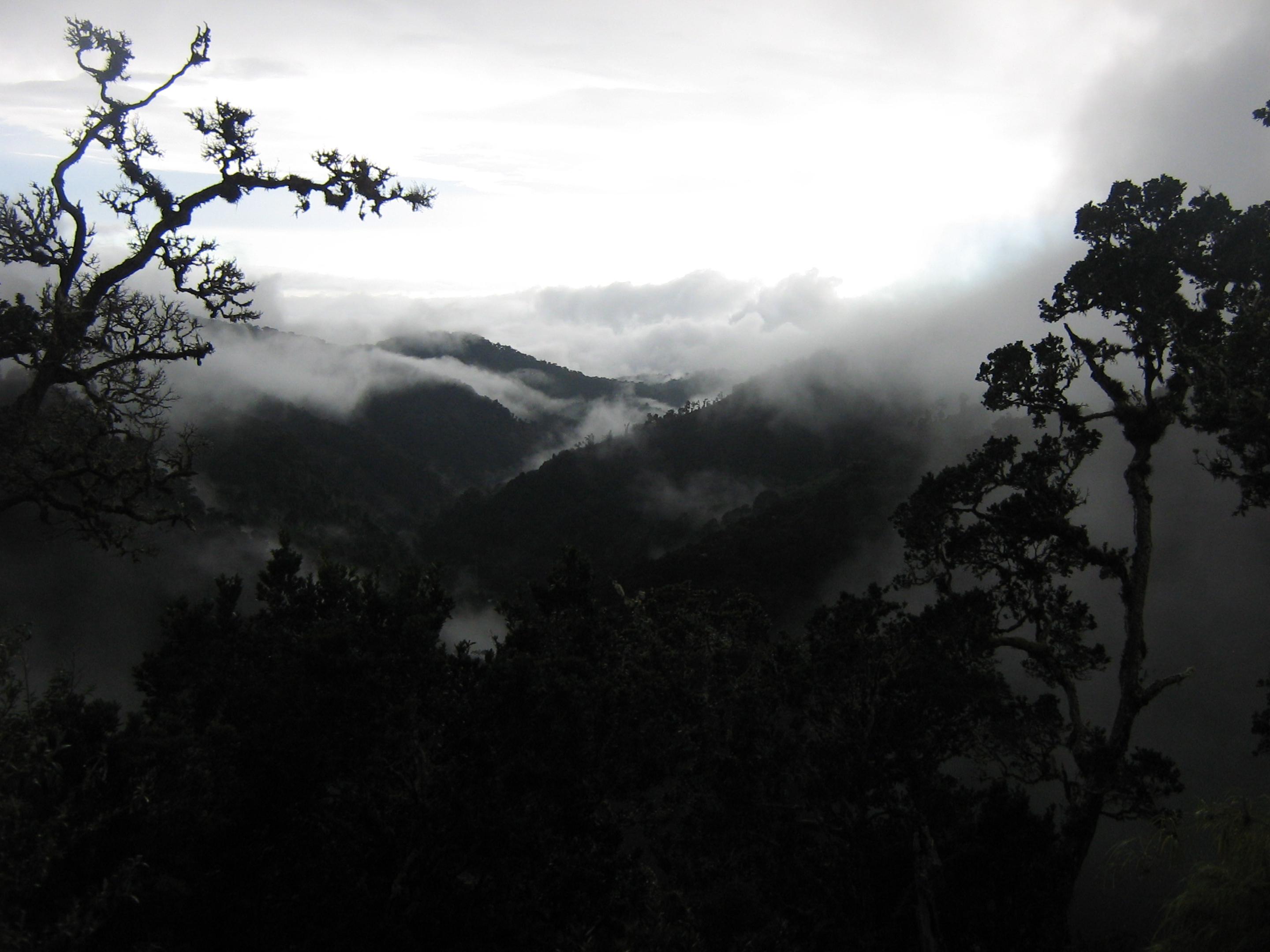 Dantica Cloud Forest Lodge San Gerardo de Dota Zewnętrze zdjęcie