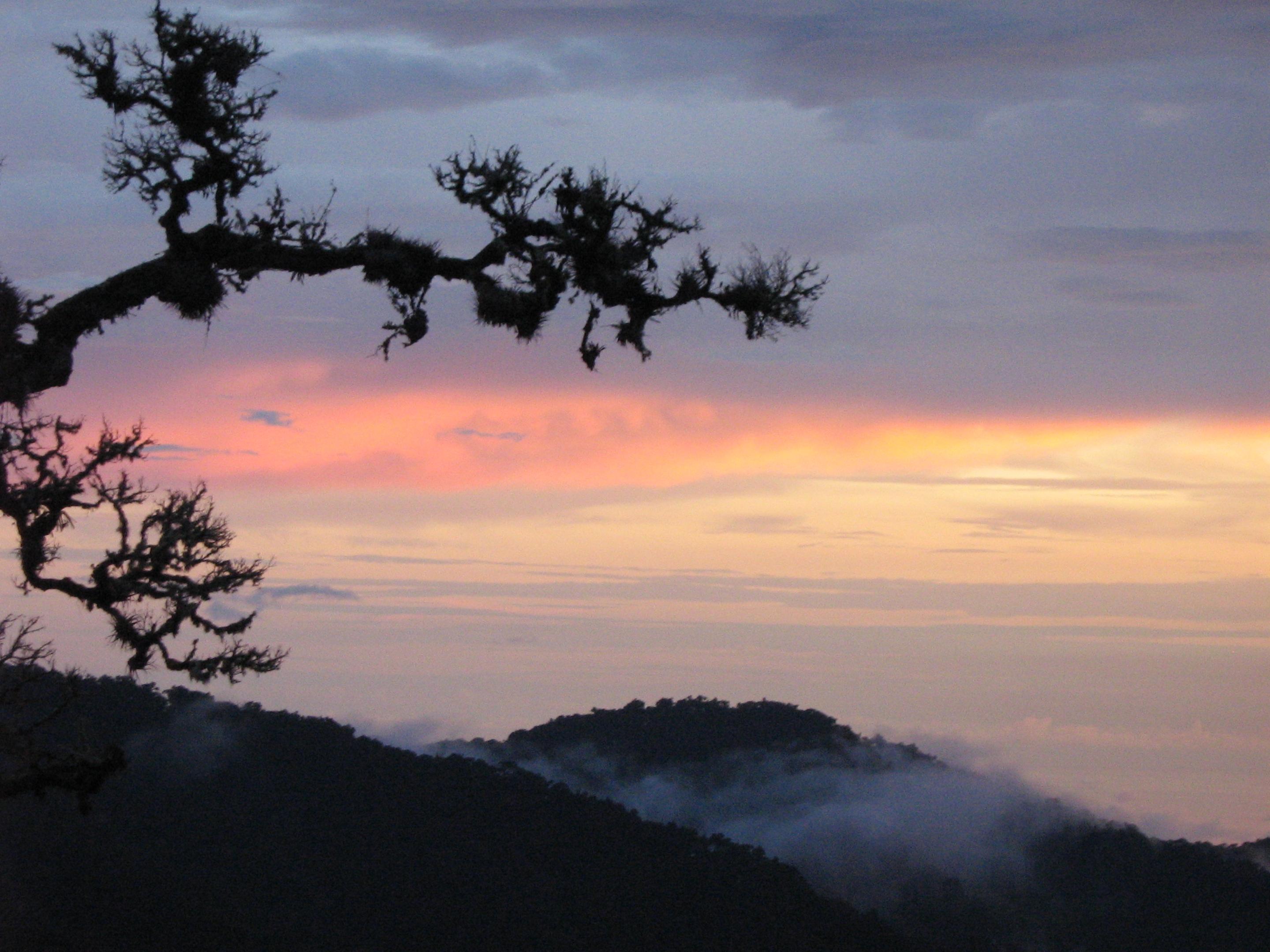 Dantica Cloud Forest Lodge San Gerardo de Dota Zewnętrze zdjęcie